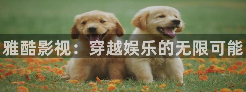 八戒影院看电影