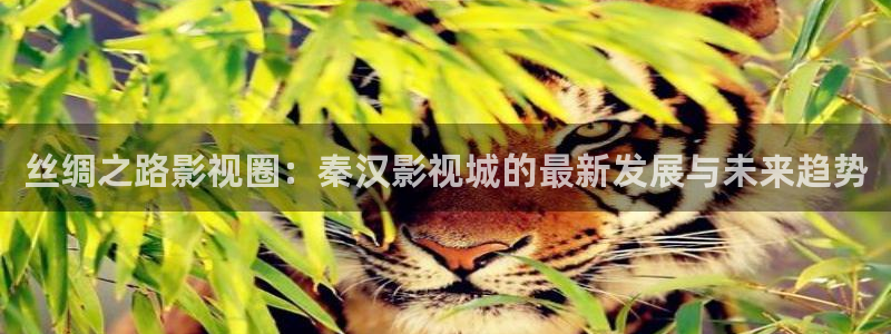 八戒影视影院