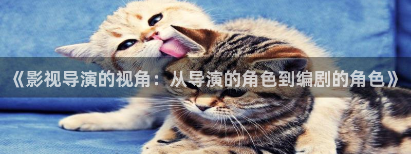 神马影视我不卡八戒