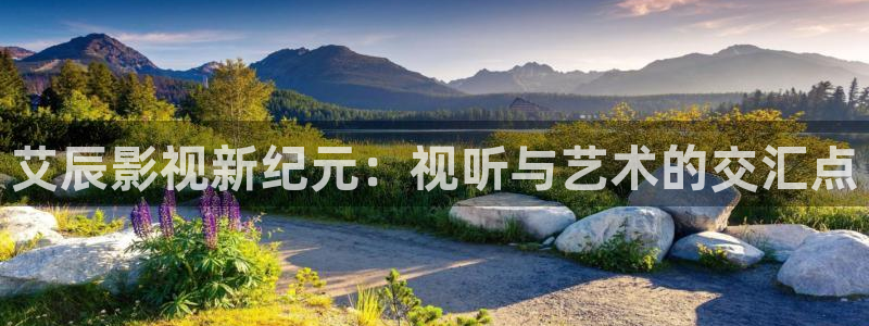 电影八戒八戒免费播放