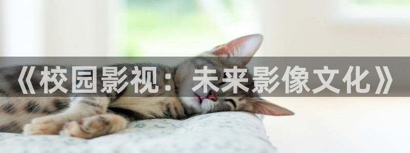 八戒八戒神马影院在线观看10