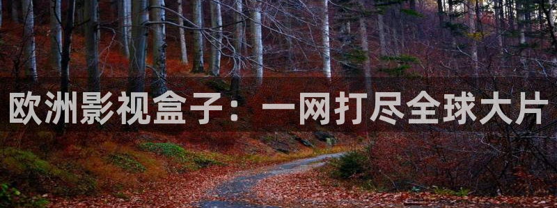 八戒电影院手机在线版