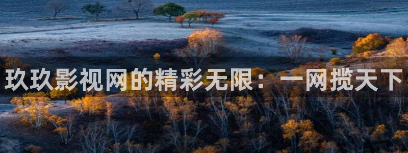 八戒网免费看电影