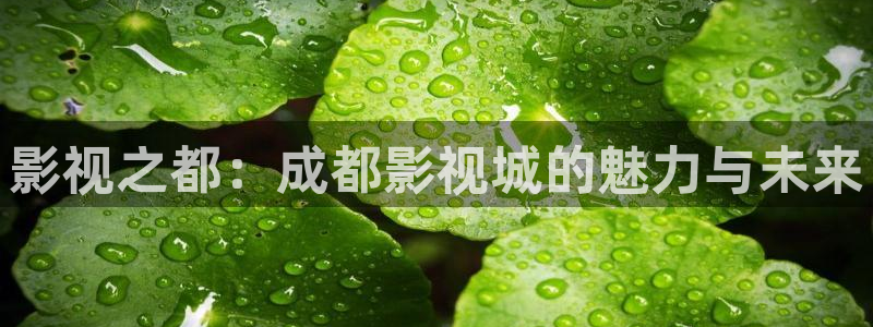 八戒影视