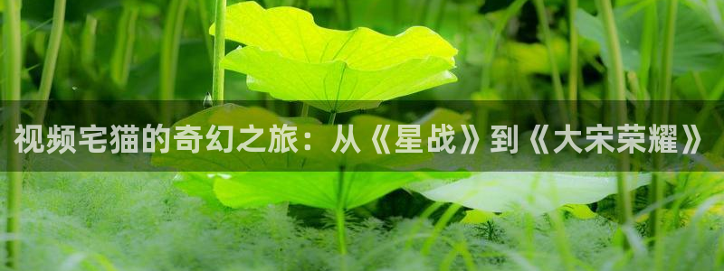 八戒,八戒电影在线播放